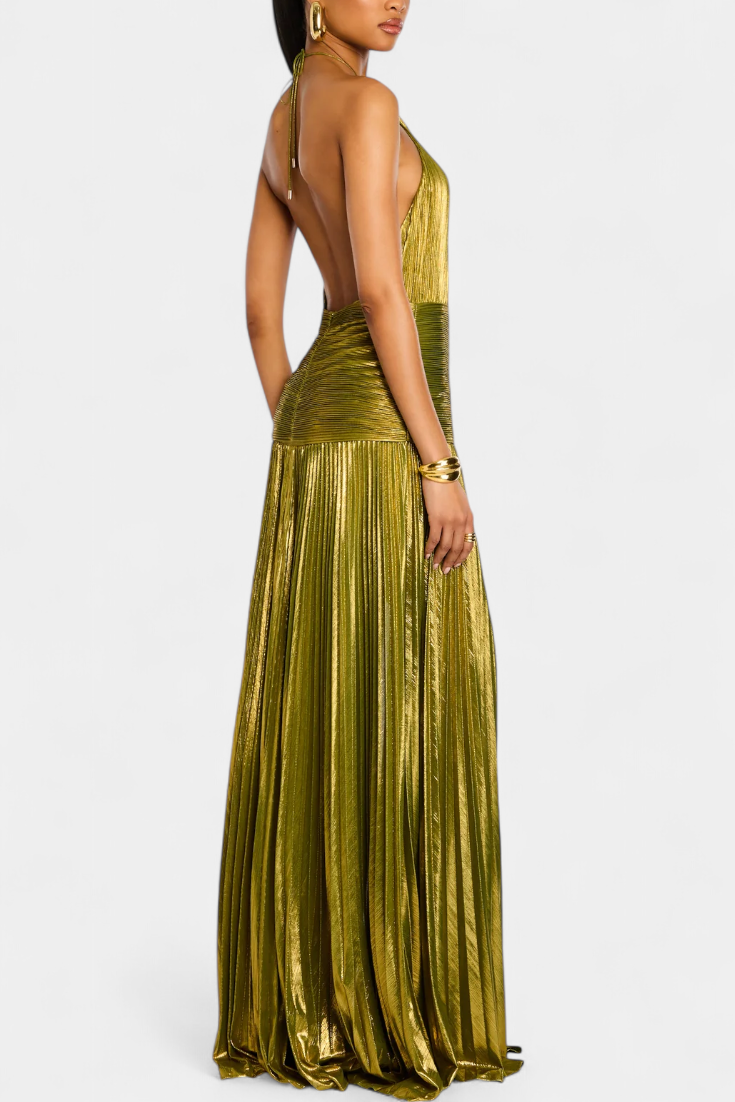 Golden Splendor Maxi Dress by The Spark